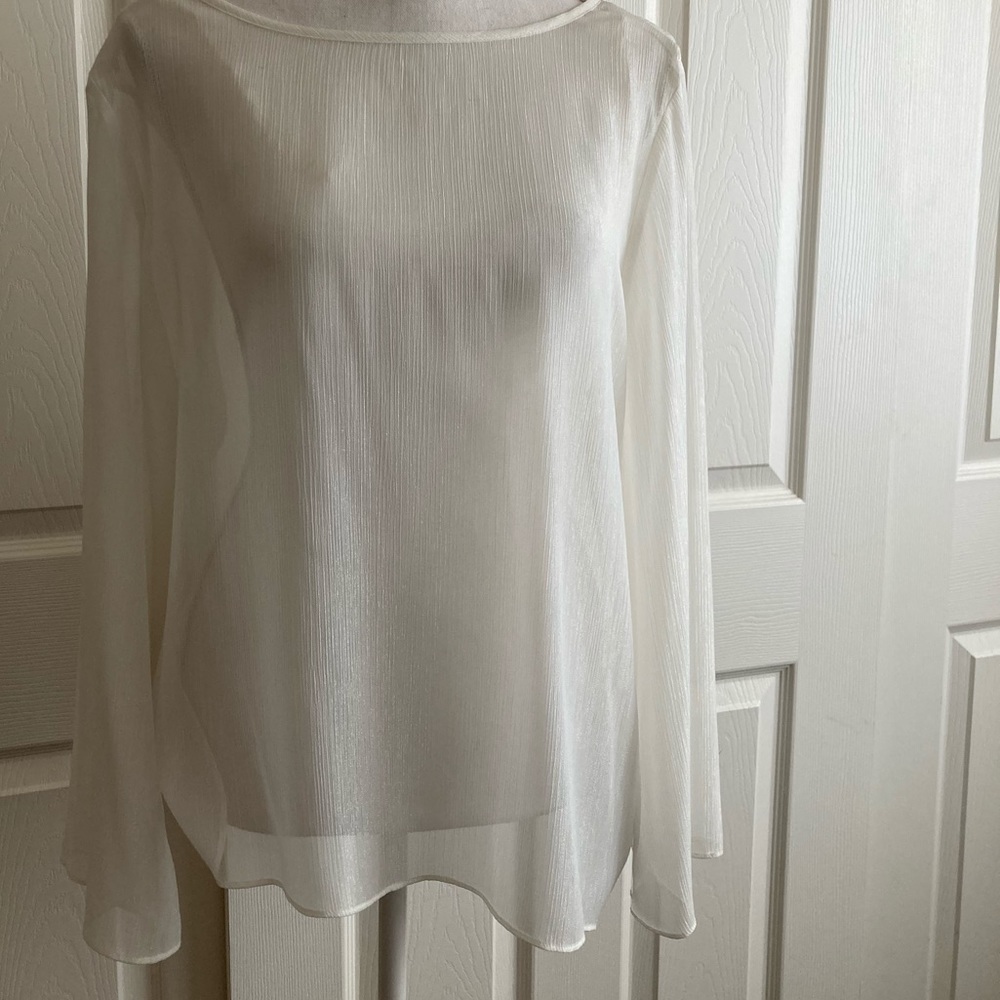 Shimmery Ellen Tracy blouse